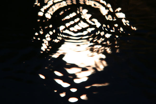 IMG_4670