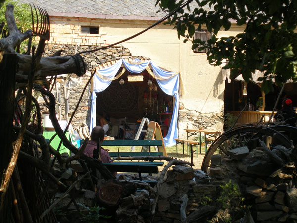 P7030036