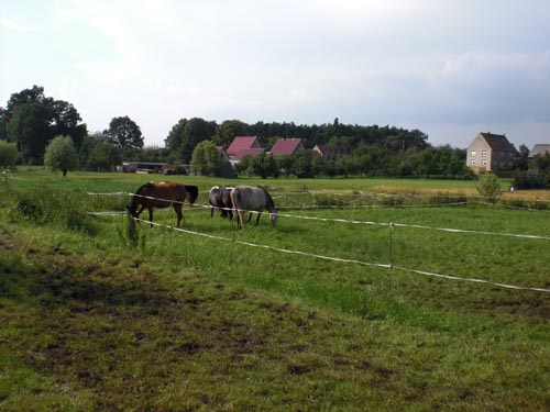 CIMG0292